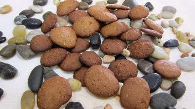 Croquants aux noisettes sans gluten - 5.3