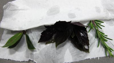 Soupe de brocolis et légumes - 1.1