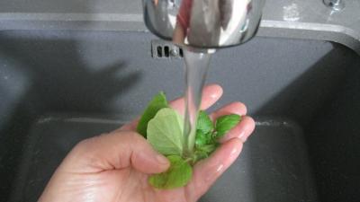 Lotte aux épinards et aux poires confites - 1.1
