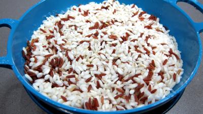 Biryani de poulet revisité - 3.3