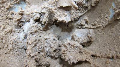 Sablés au cacao - 2.3