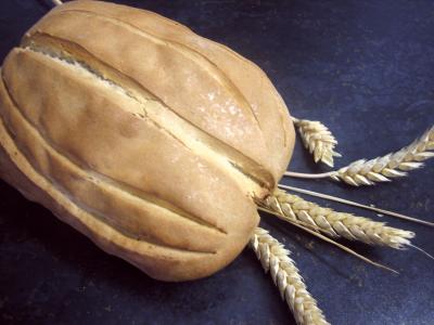 farine type 65 : Pain brié