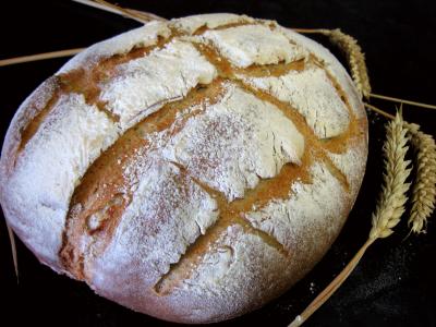 farine de seigle : Pain de campagne à pâte fermentée
