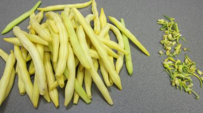 Macaronis aux oeufs - 2.1