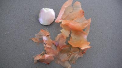 Salade de pâtes - 3.4