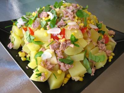 thon rouge : Assiette de salade de thon et poivrons