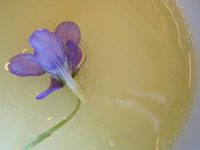 Fleurs cristallisées - 3.1