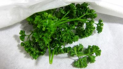 Velouté crémeux aux herbes - 4.2