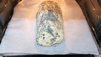 Pain baveux de la sorcière - 8.2