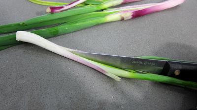 Courgettes au gratin - 2.1
