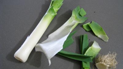 Courgettes au gratin - 2.3