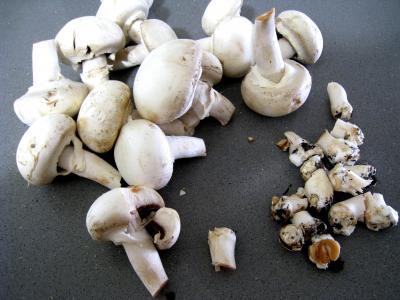 Lapin aux champignons - 1.4