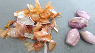 Lapin aux champignons - 4.4