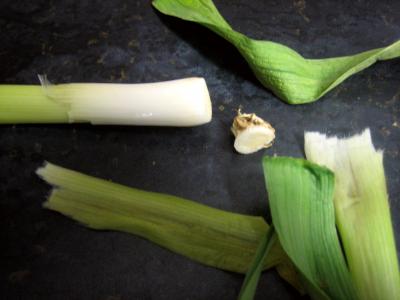 Petits pains farcis à l'oignon et aillettes - 1.1