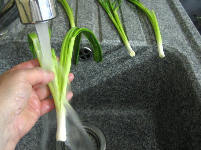 Petits pains farcis à l'oignon et aillettes - 1.3