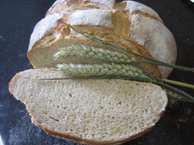 Recette Pain de campagne au poolish