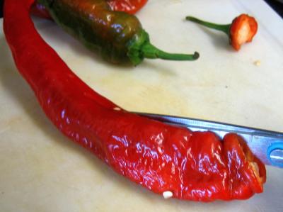 Chutney aux poivrons - 2.2