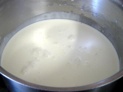 Confit de canard sauce gorgonzola - 5.1