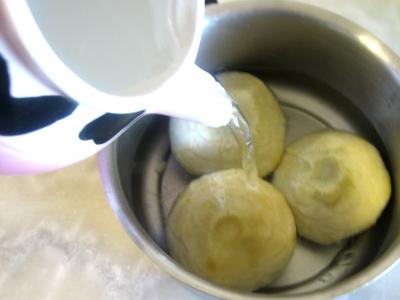 Foie gras en salade chayotte et truffe - 3.2