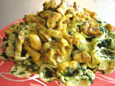 curcuma : Assiettes d'orecchiettes aux moules