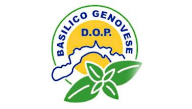 AOP Basilic Genovese