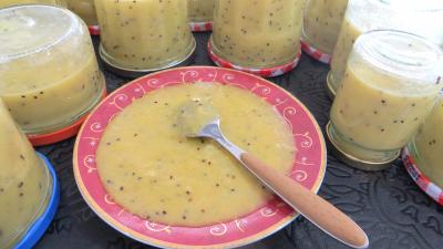 Cuisine diététique : Coupelle de coulis de kiwis et courge