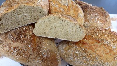 Cuisson au four : Pains au cidre