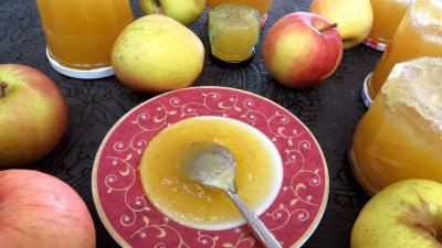 Confitures : Coupelle de confiture de pommes à la rhubarbe façon compote