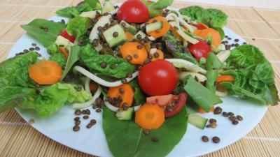 Pour débutants : Plat de lentilles en salade