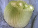 Flageolets aux légumes - 4.1
