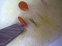 Confiture de pastèques - 2.3