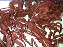 Chou rouge aux pommes - 3.1