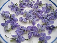 Recette Fleurs cristallisées