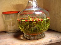 estragon au vinaigre