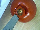 Concombre "minceur" - 3.2