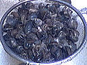 Cassolettes d'escargots - 3.2