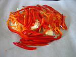 Filets de truite en papillotes - 11.1
