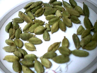 cardamomes