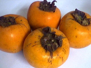 les kakis