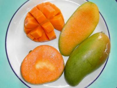 mangue