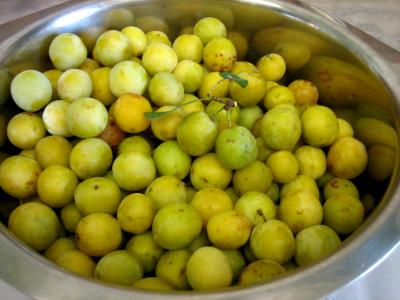 mirabelles
