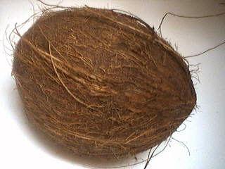 Noix de coco