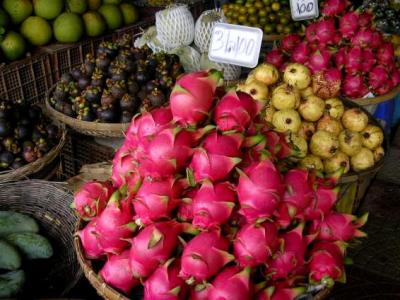 fruits