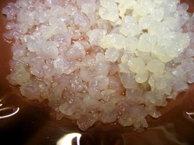 grains de kéfir