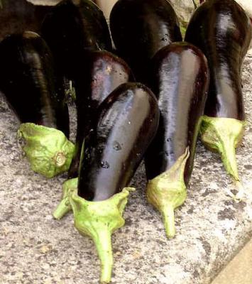 Aubergines