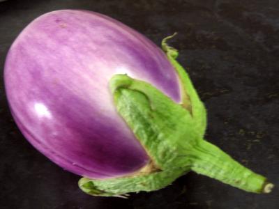 L'aubergine violette