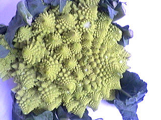 chou romanesco