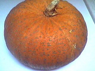 Citrouille