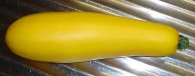 Courgette Gold Rush