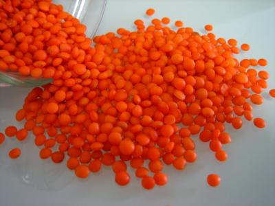 Photo : Lentilles rouges